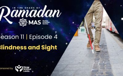 Episode 4: Blindness and Sight